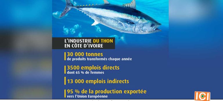 L’industrie du thon en Côte d’Ivoire